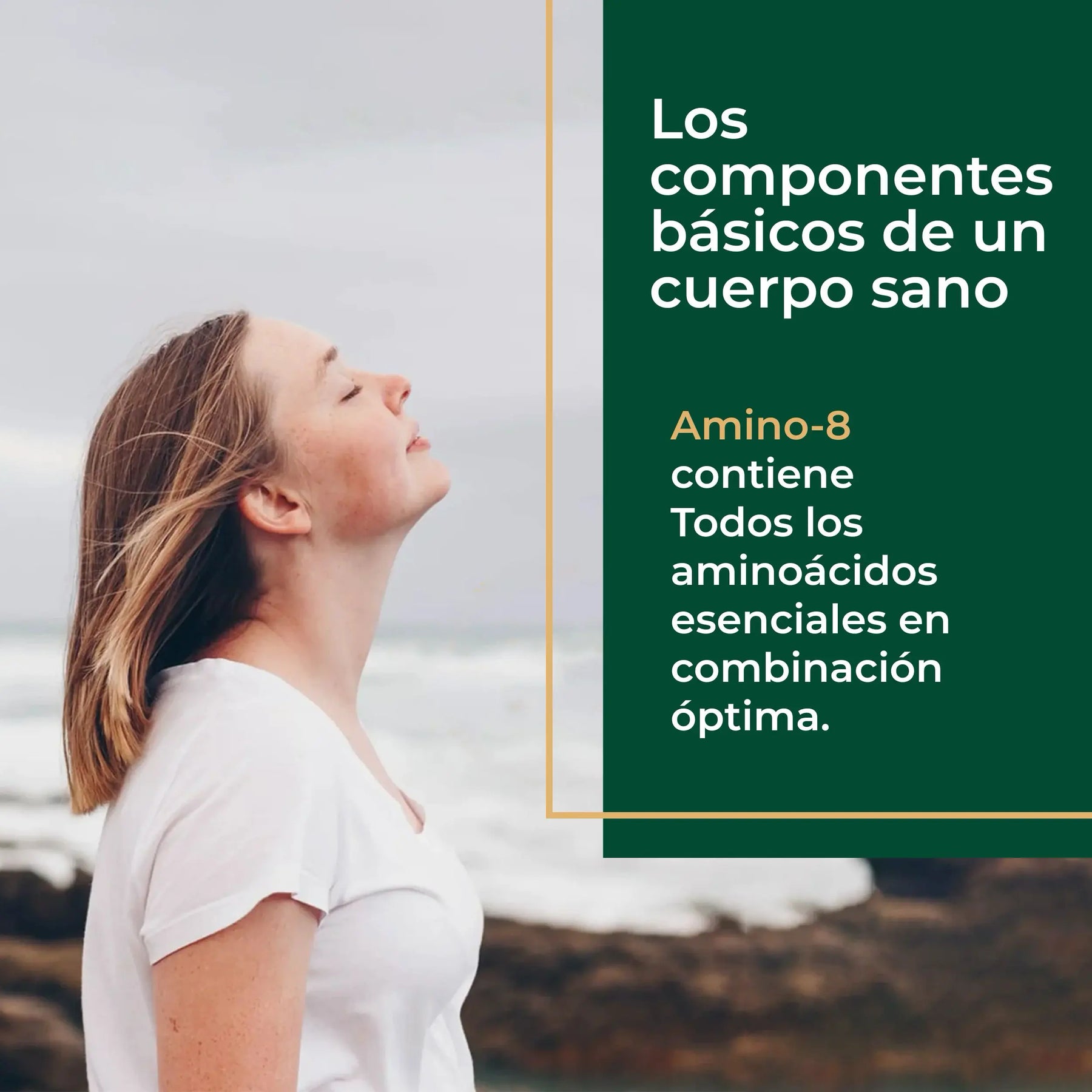 viktilabs-amino-8-infografik-usp-1 [lang-es]