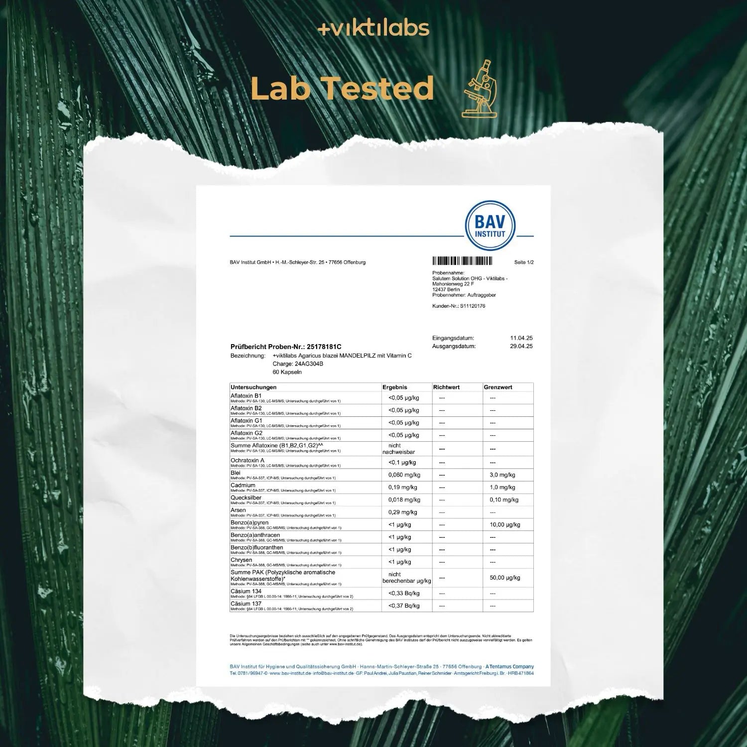 viktilabs-mandelpilz-zertifikat-2 [lang-en]
