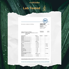 viktilabs-mandelpilz-zertifikat-2 [lang-en]