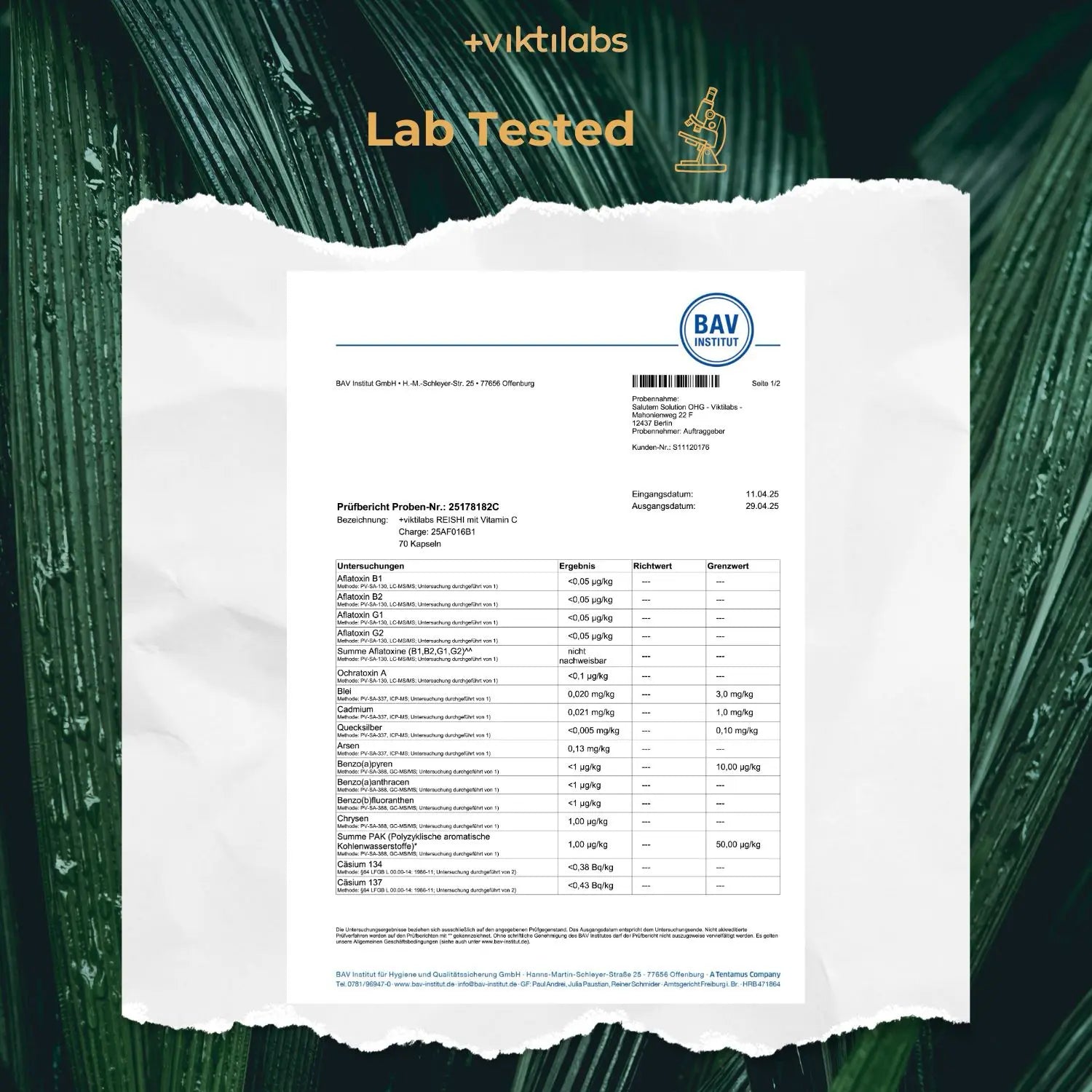 viktilabs-reishi-zertifikat-2 [lang-en]