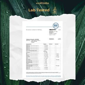 viktilabs-reishi-zertifikat-2 [lang-en]