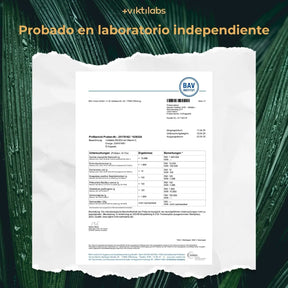 viktilabs-reishi-zertifikat-1 [lang-es]