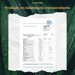viktilabs-mandelpilz-zertifikat-2 [lang-es]