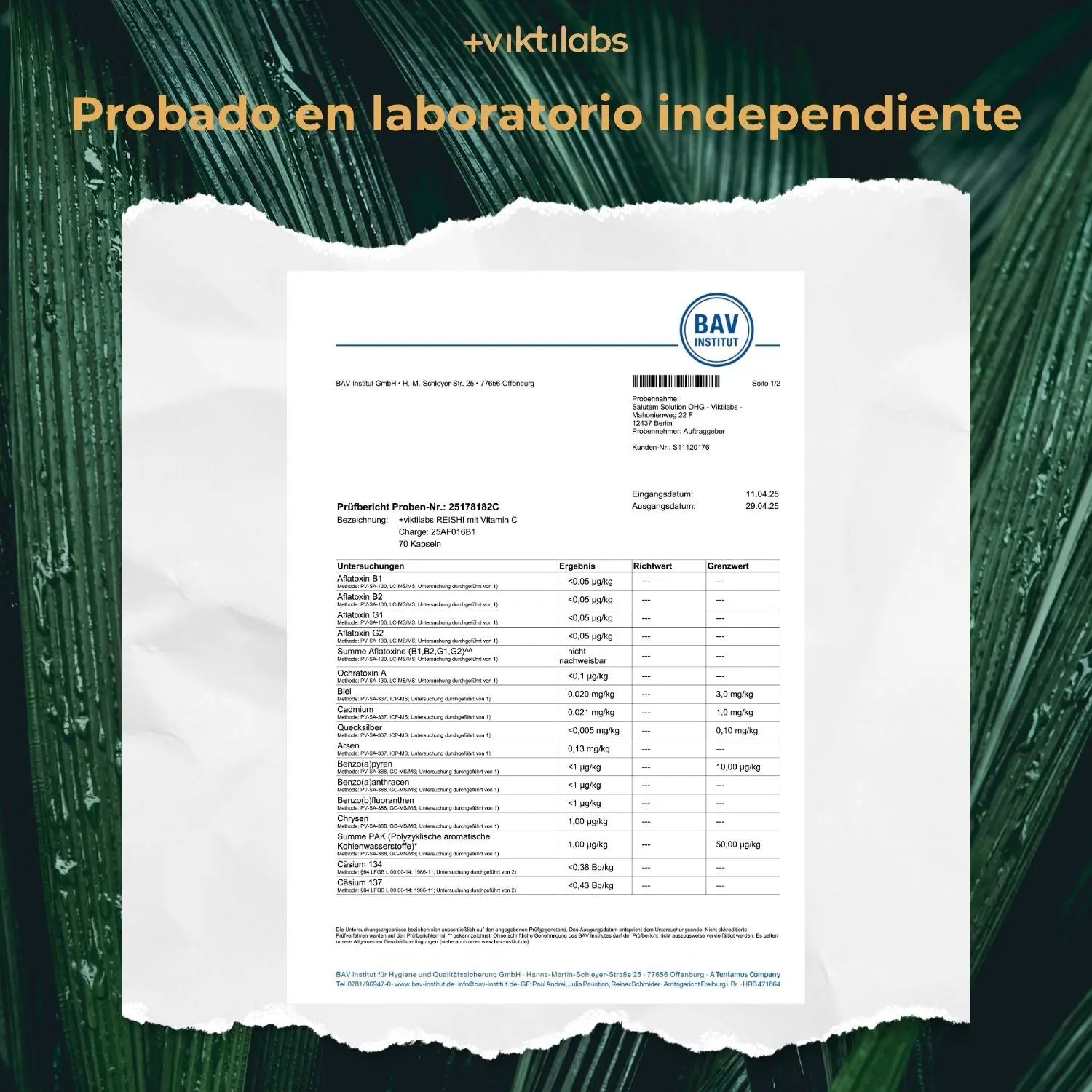 viktilabs-reishi-zertifikat-2 [lang-es]