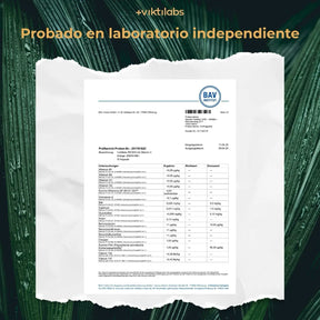 viktilabs-reishi-zertifikat-2 [lang-es]