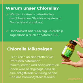 Chlorella1 [lang-de]