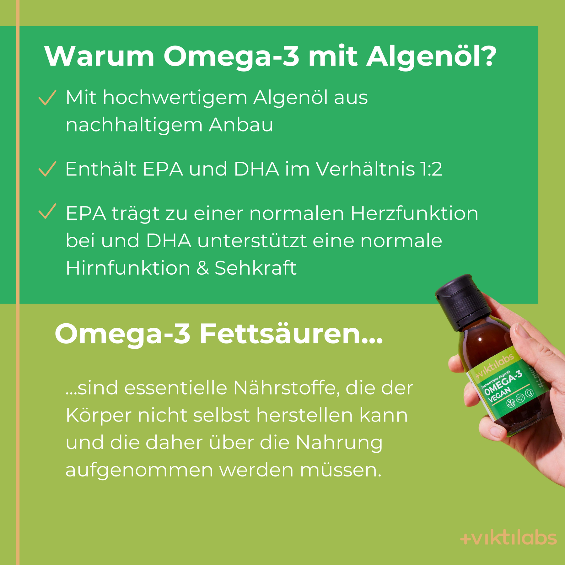Omega-3 Infografiken [lang-de]