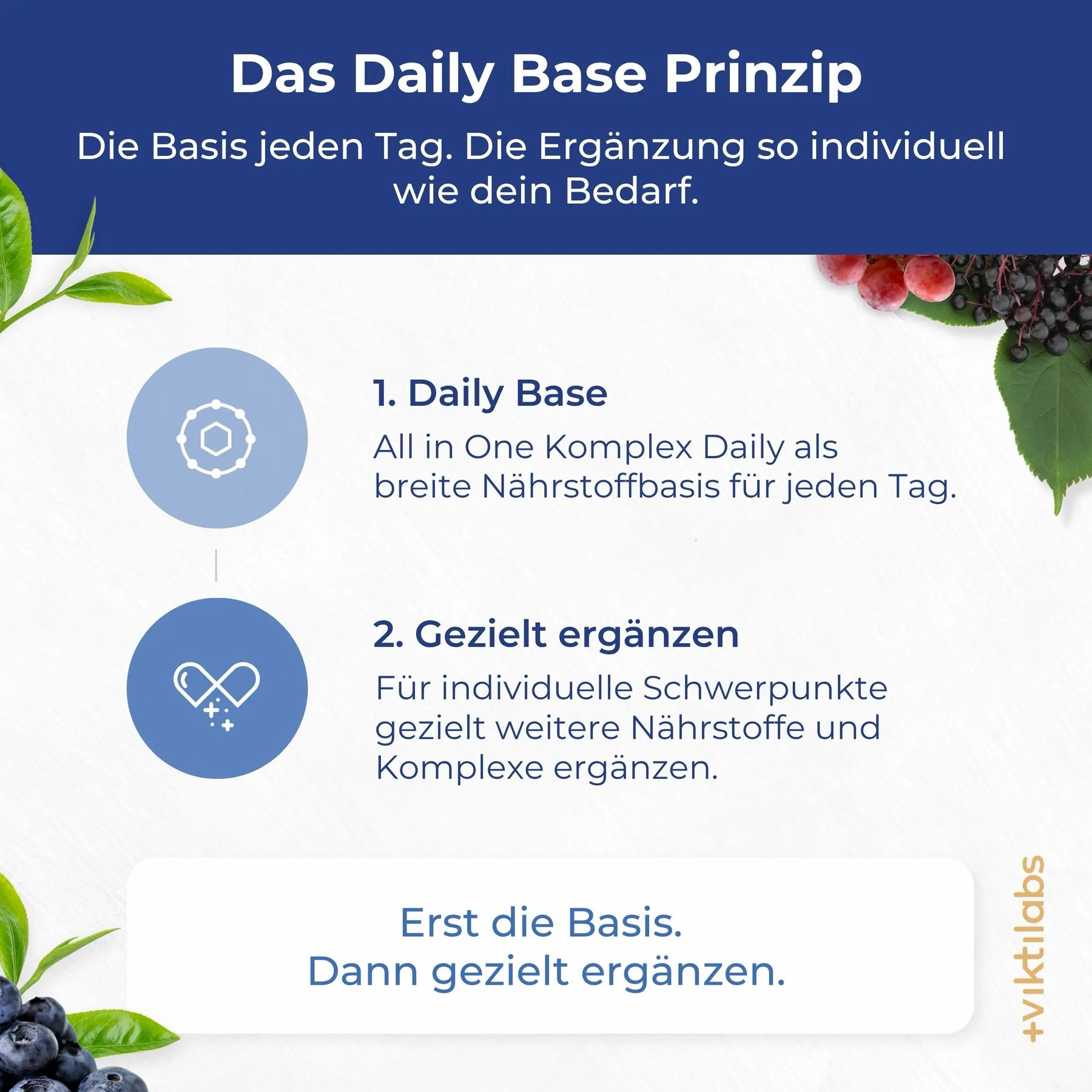 viktilabs-all-in-one-komplex-infografik-warum-unser-produkt [lang-de]