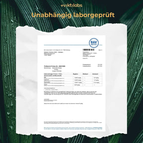 viktilabs-astaxanthin-zertifikat-1 [lang-de]