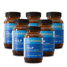 viktilabs-bio-kelp-6 non-perspective