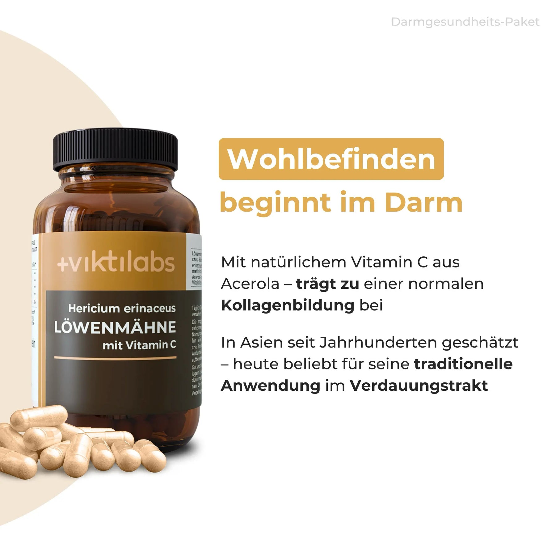 viktilabs-bundle-darmgesundheit-produkt-2 [lang-de]