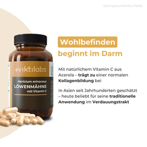 viktilabs-bundle-darmgesundheit-produkt-2 [lang-de]
