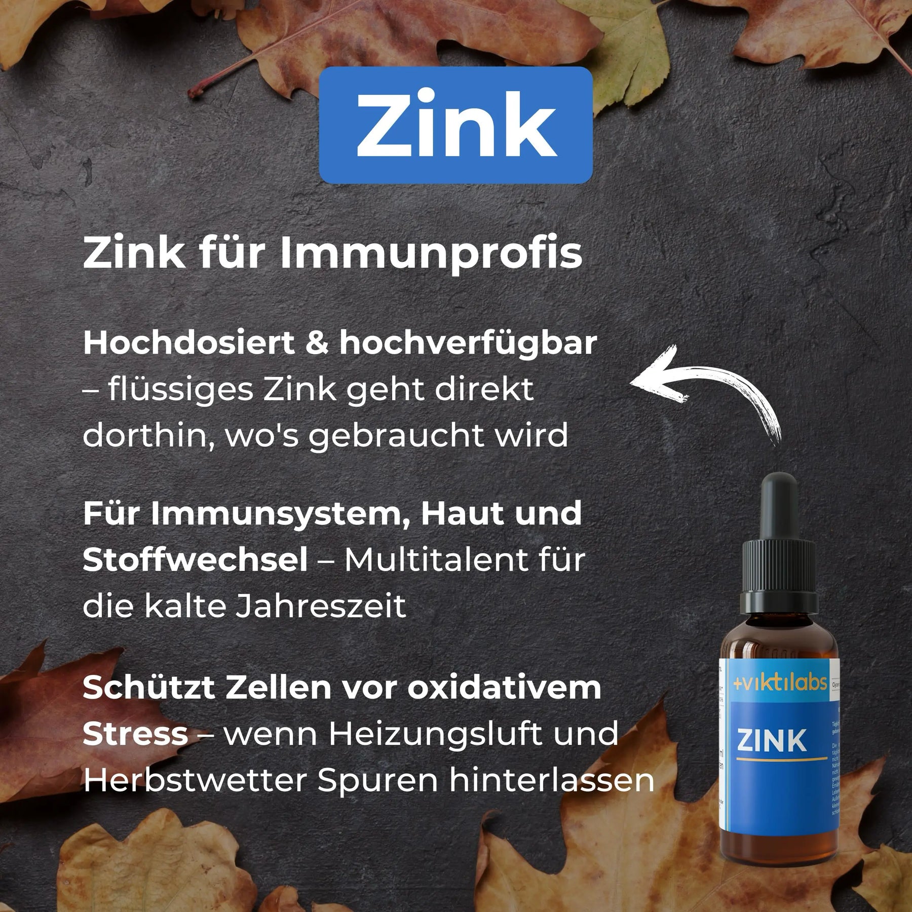 viktilabs-bundle-herbst-produkt-2 [lang-de]