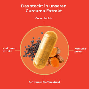 viktilabs-curcuma-extrakt-infografik-inhaltsstoffe [lang-de]