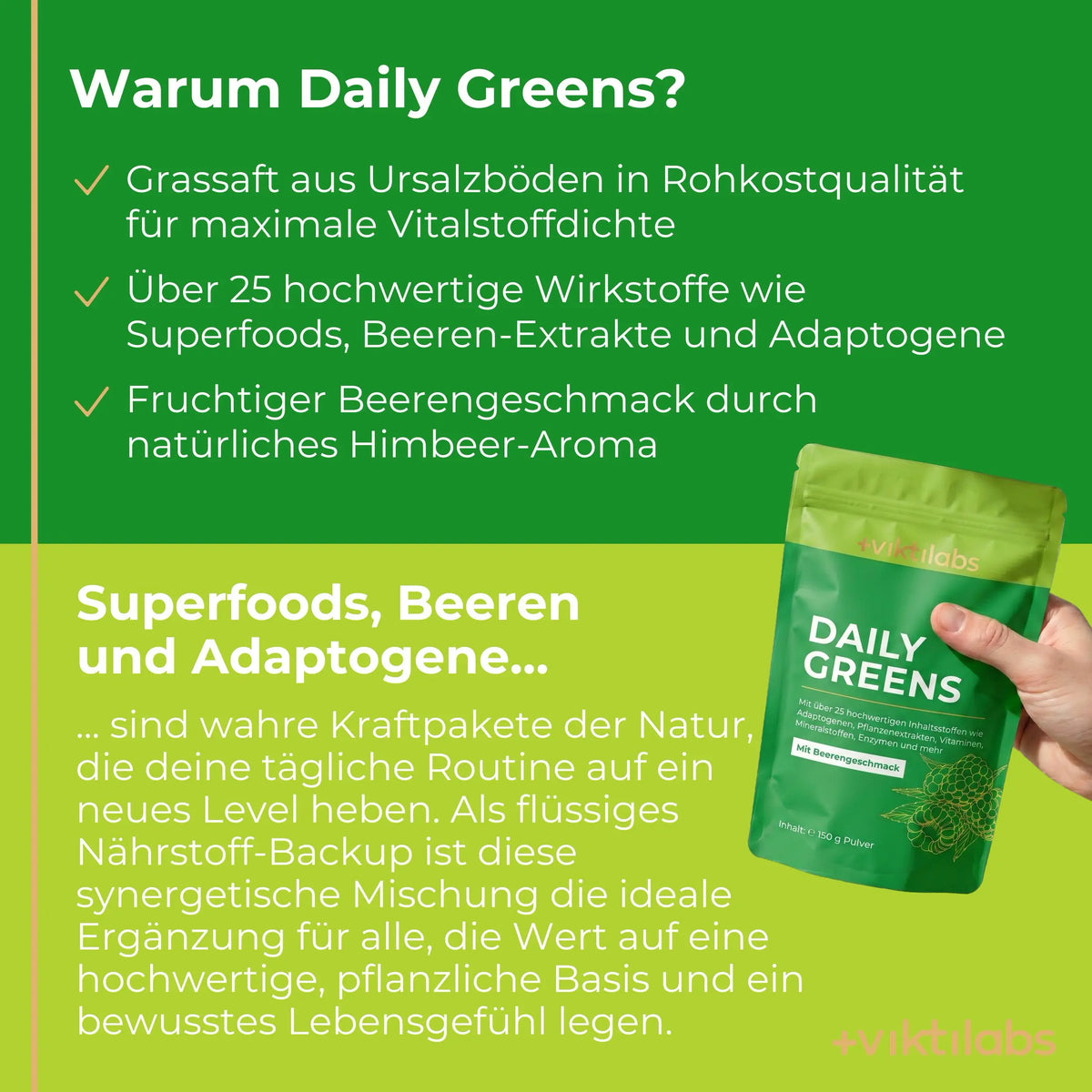 viktilabs-daily-greens-infografik-warum-unser-produkt [lang-de]