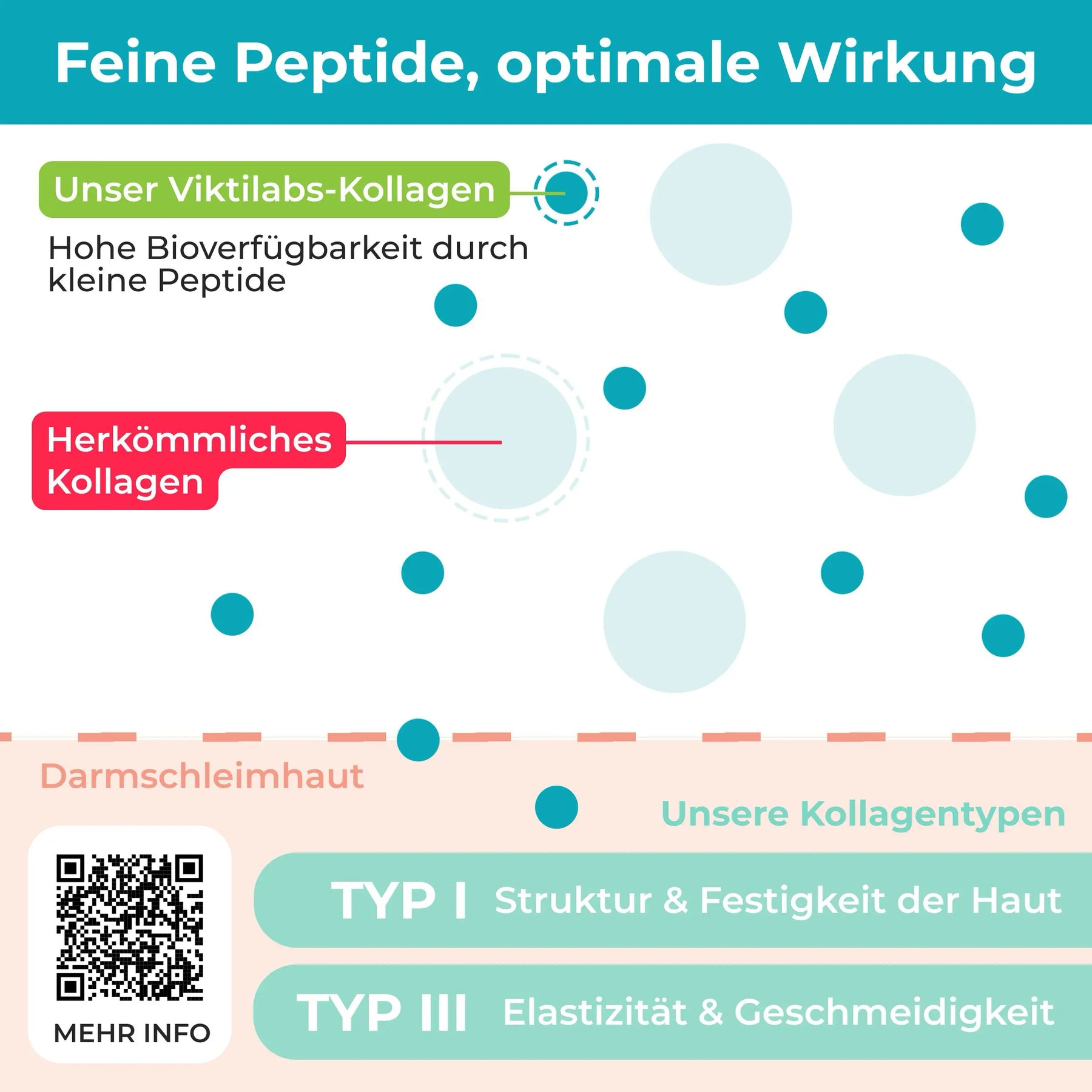 viktilabs-kollagen-infografik-kollagentyp-peptide [lang-de]