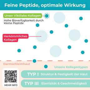 viktilabs-kollagen-infografik-kollagentyp-peptide [lang-de]