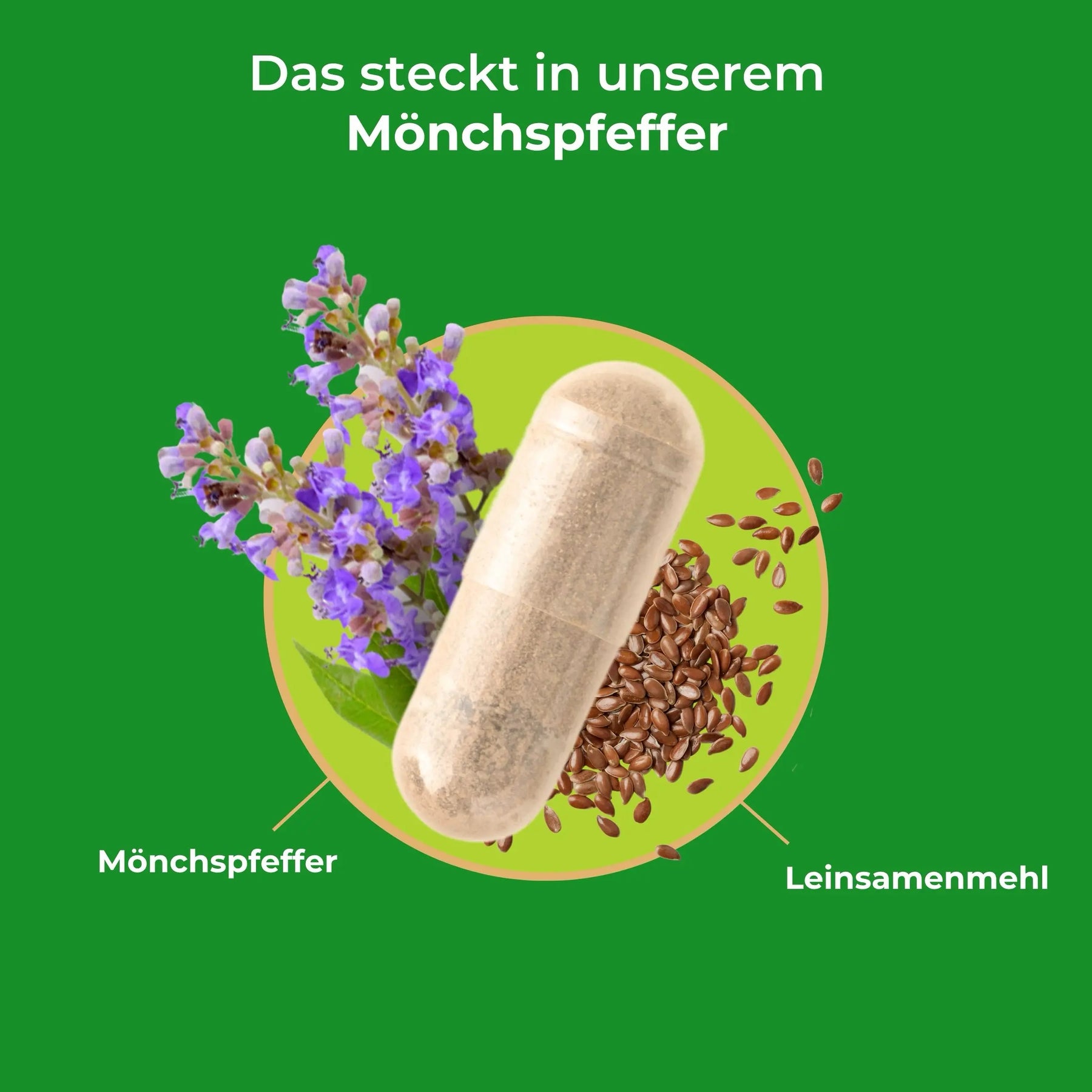 viktilabs-mönchspfeffer-infografik-inhaltsstoffe [lang-de]