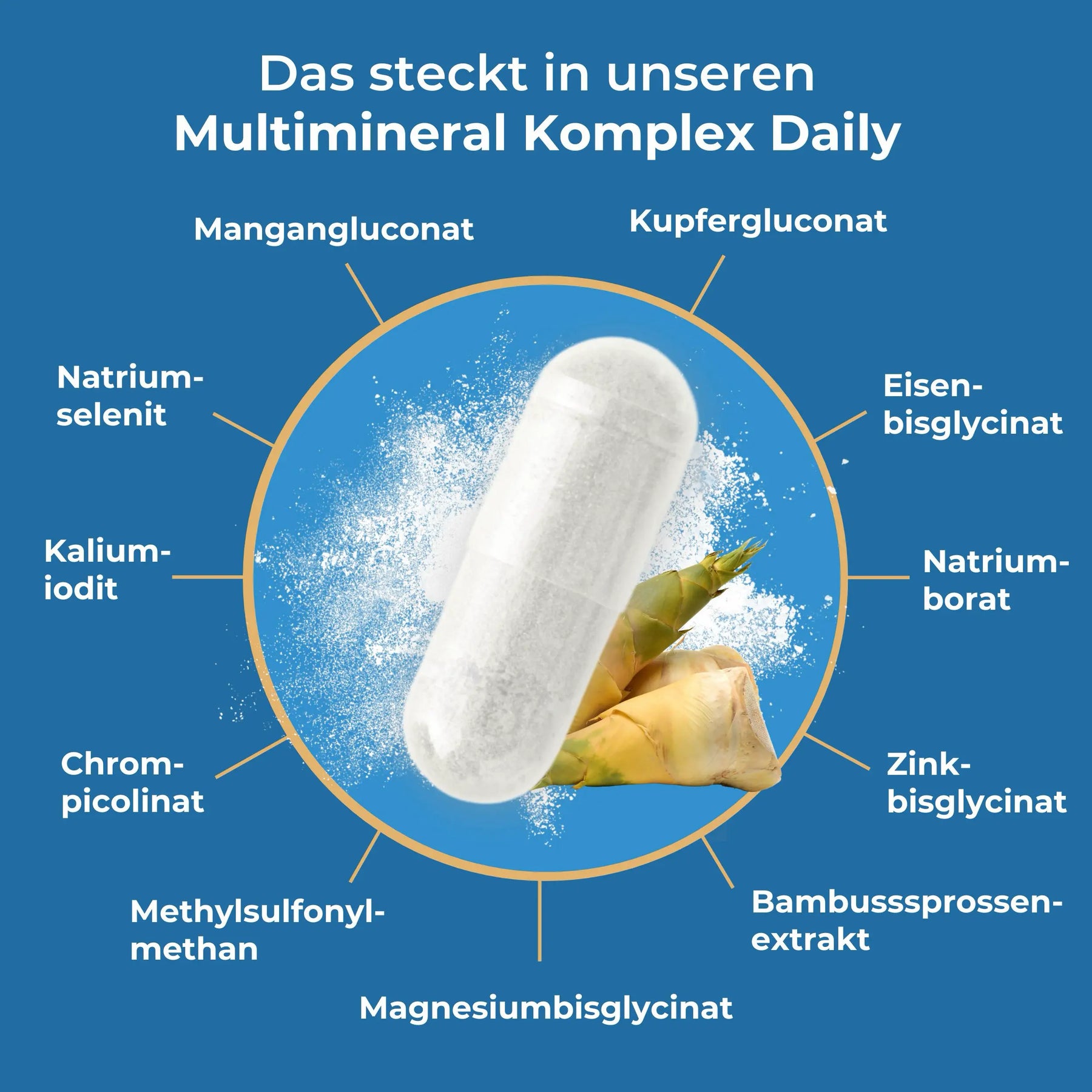 viktilabs-multimineral-komplex-infografik-inhaltsstoffe [lang-de]