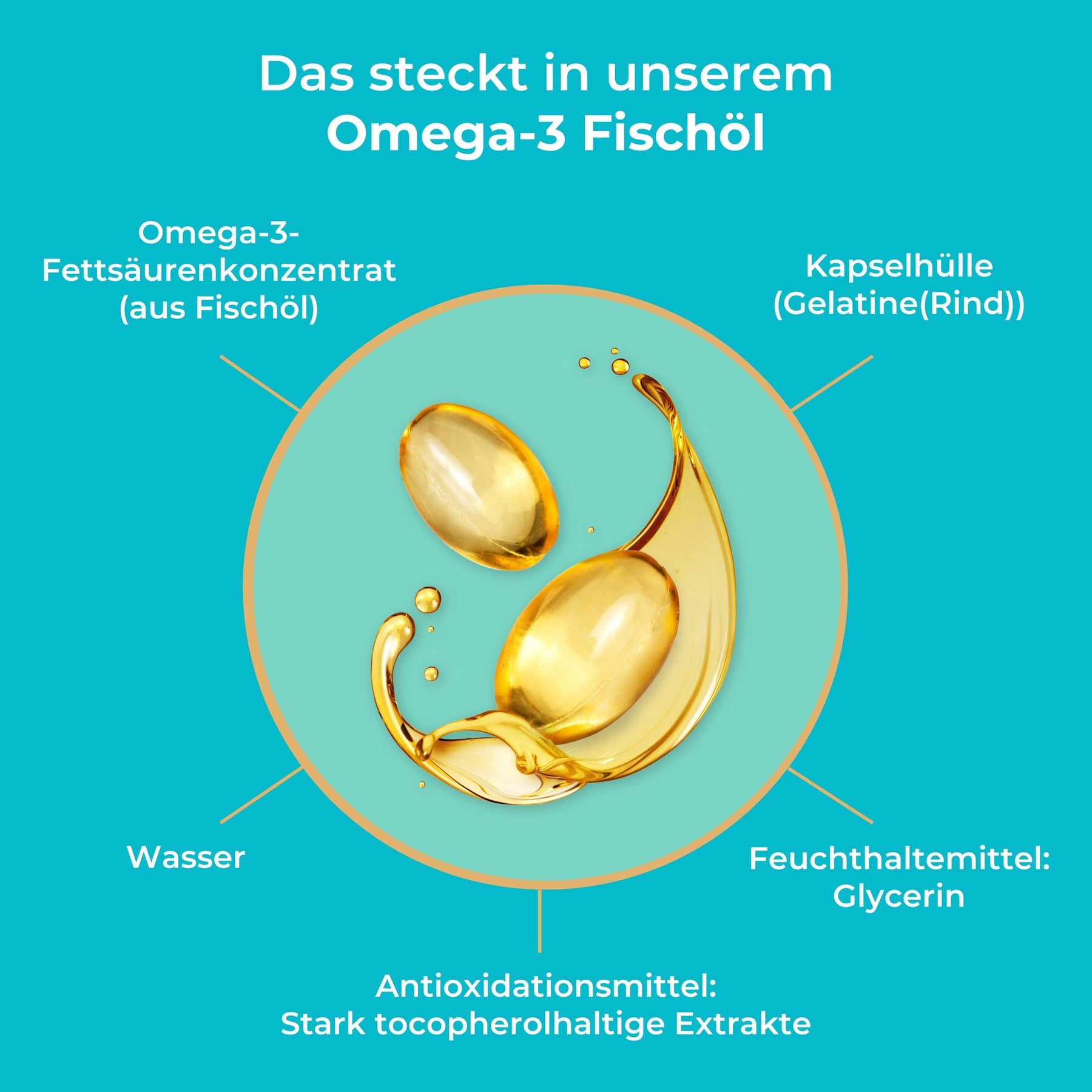 viktilabs-omega-3-fischoel-infografik-inhaltsstoffe [lang-de]