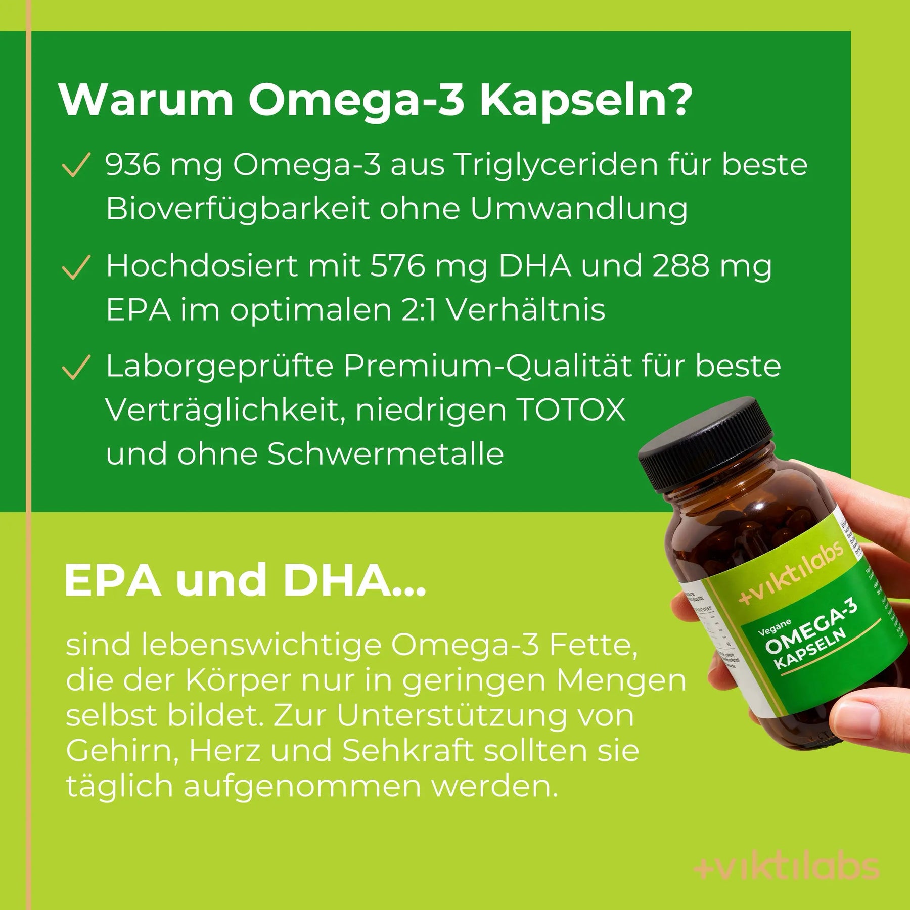 muss man omega 3 kapseln im kühlschrank aufbewahren Vegane Omega-3 Kapseln: Hochwertiges Algenöl mit 40 % DHA & 20 % EPA
