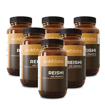 viktilabs-reishi-6-variantenbild