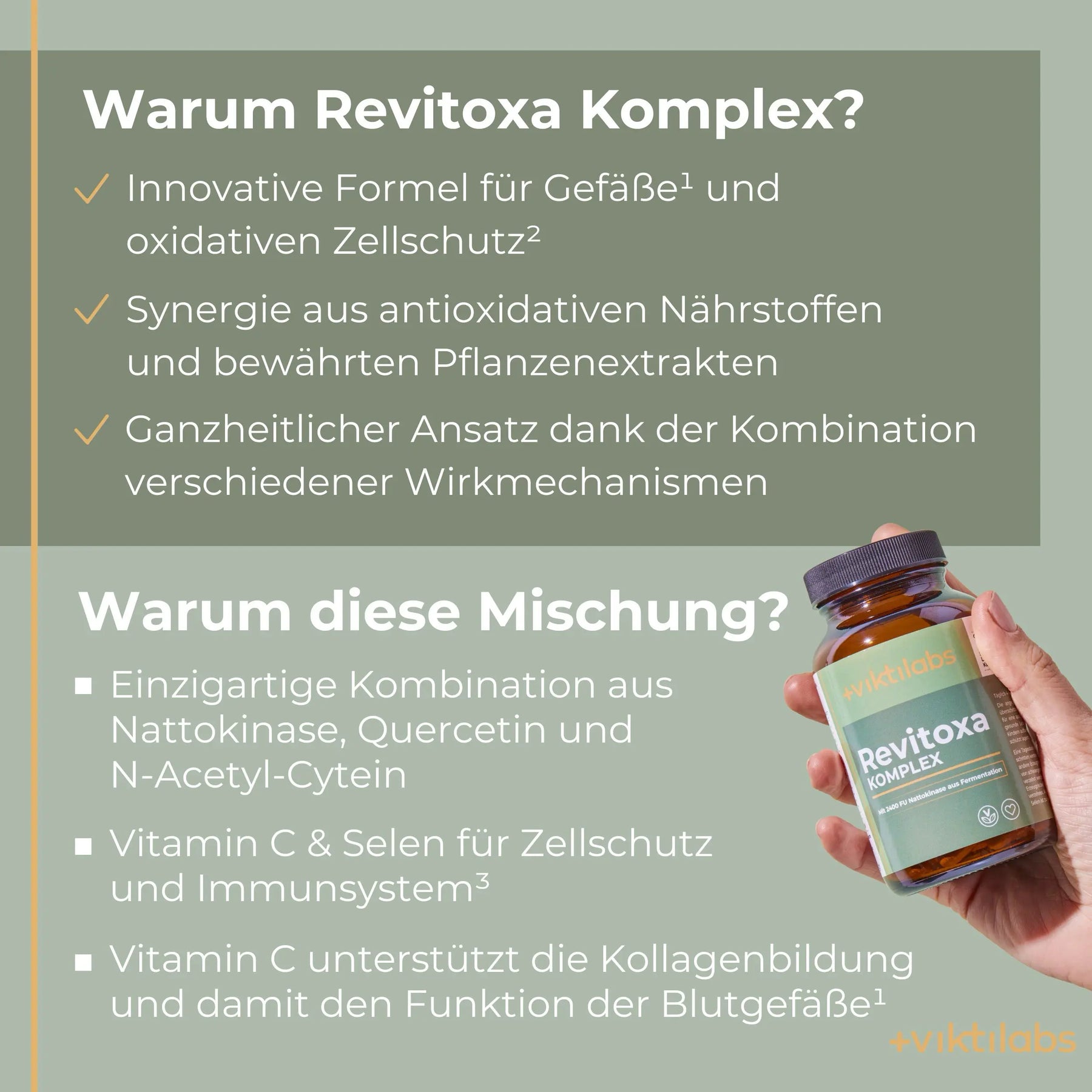 viktilabs-revitoxa-infografik-warum-unser-produkt [lang-de]