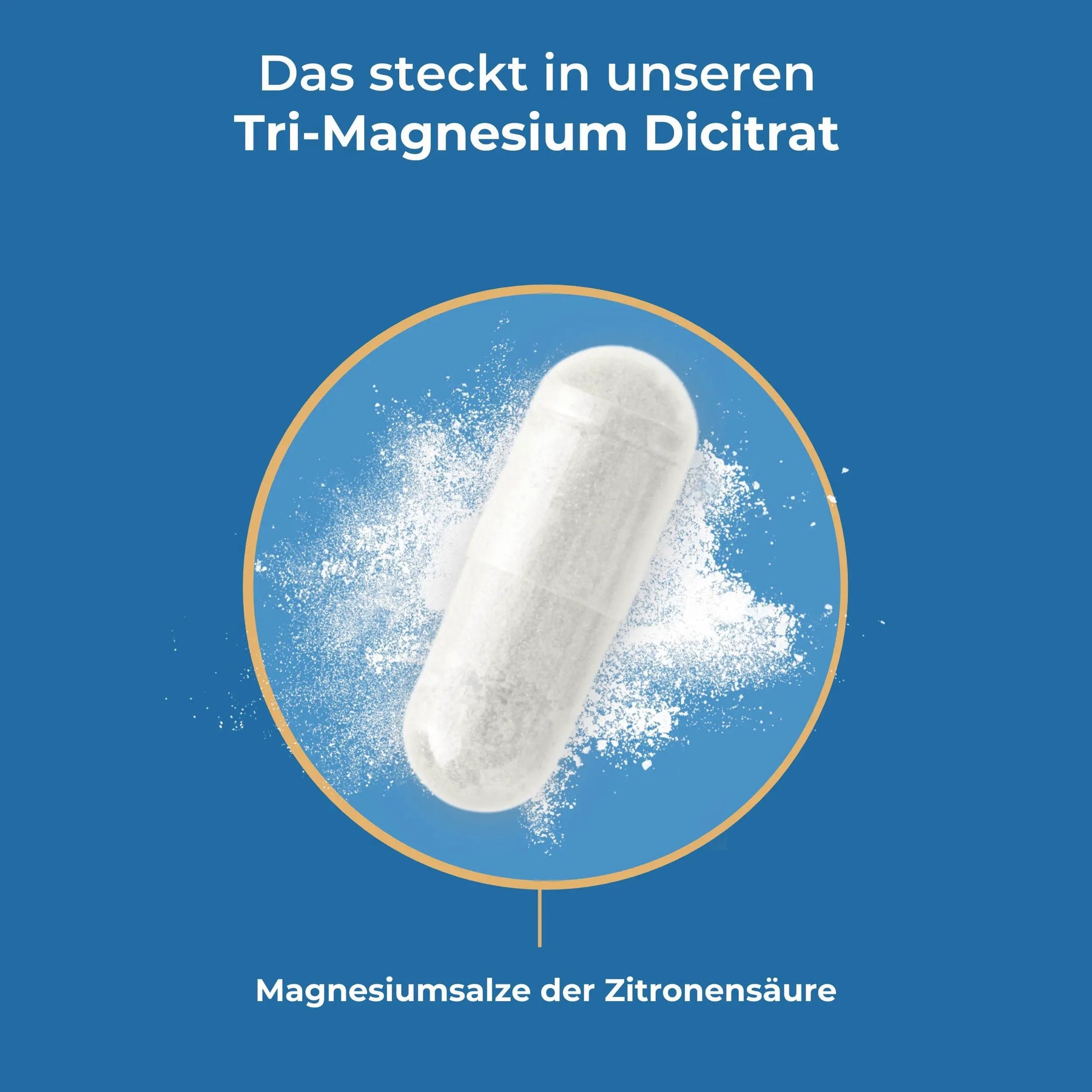 viktilabs-tri-magnesium-dicitrat-infografik-inhaltsstoffe [lang-de]
