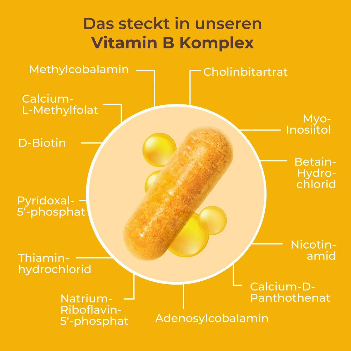 viktilabs-vitamin-b-komplex-forte-infografik-inhaltsstoffe [lang-de]