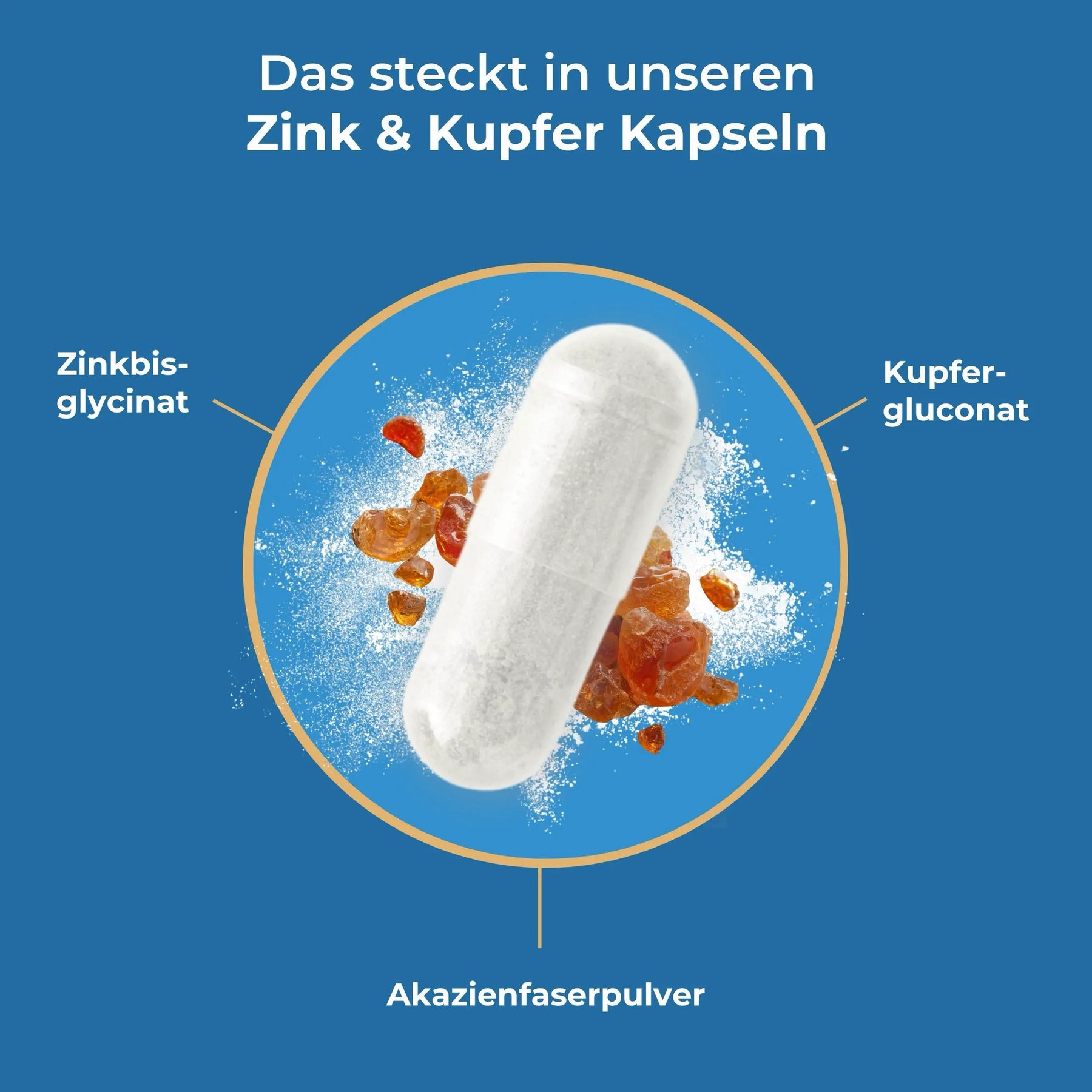 viktilabs-zink&kupfer-komplex-infografik-inhaltsstoffe [lang-de]