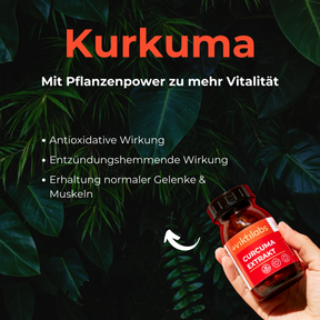 Plant Power Package: Turmeric, OPC, Organic Grapefruit Extract