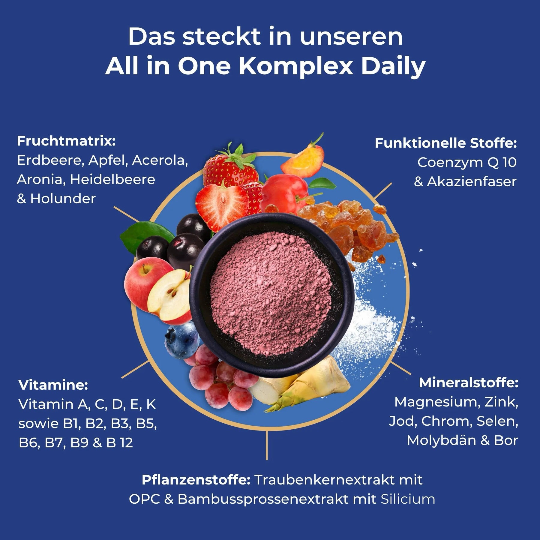 viktilabs-all-in-one-komplex-infografik-inhaltsstoffe [lang-de]
