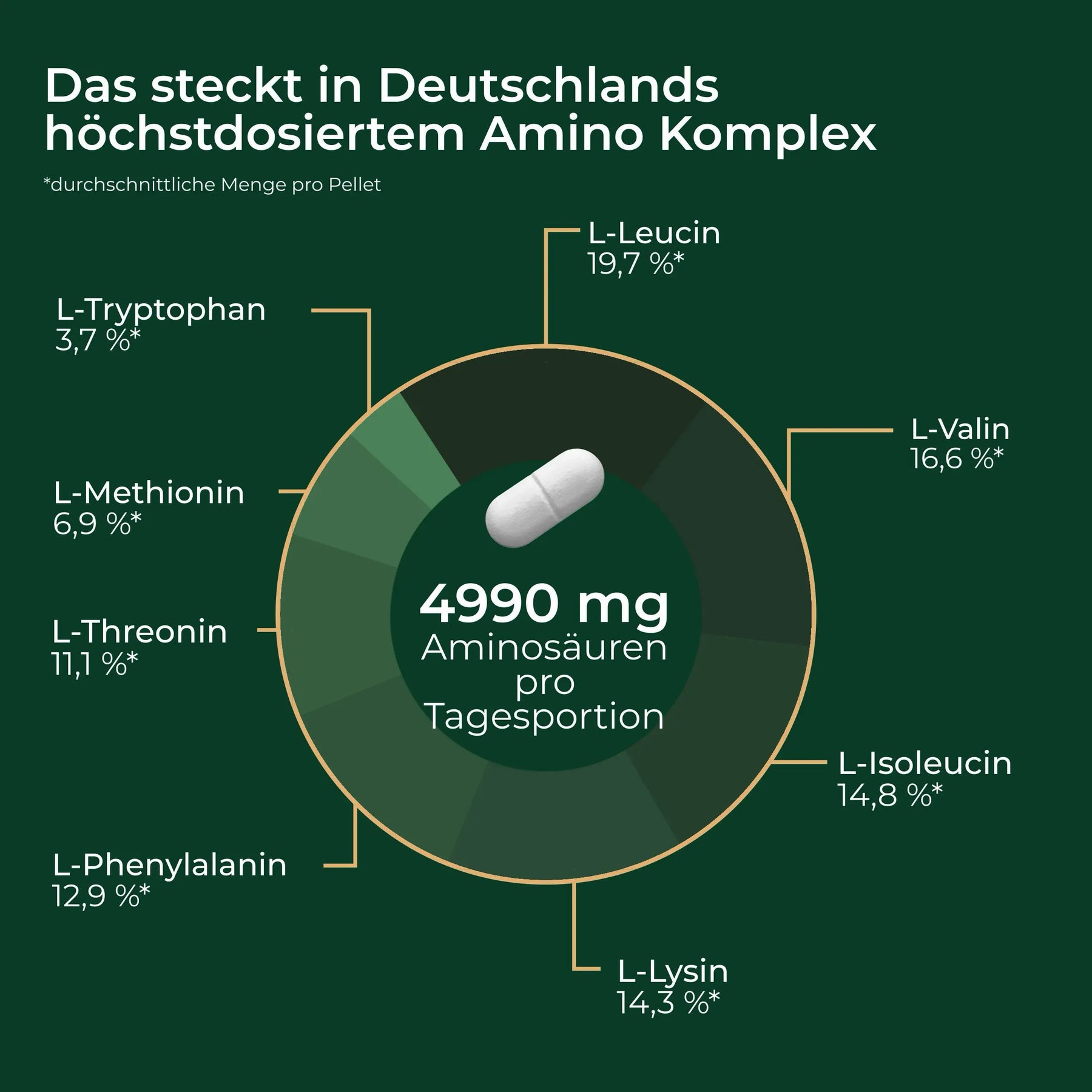 viktilabs-amino-8-infografik-ingredients [lang-de]