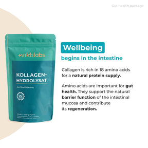 viktilabs-bundle-darmgesundheit-paket-produkt-1 [lang-en]
