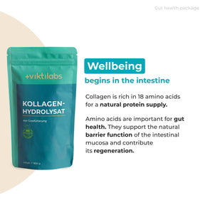 viktilabs-bundle-darmgesundheit-paket-produkt-1 [lang-en]