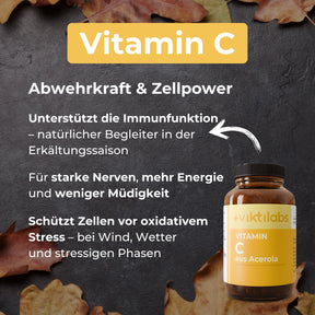 viktilabs-bundle-herbst-produkt-3 [lang-de]