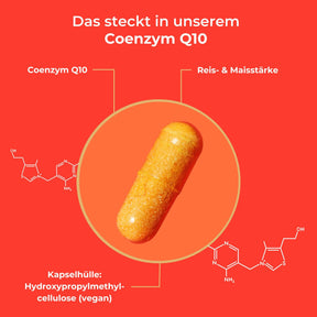 viktilabs-coenzym-q10-infografik-inhaltsstoffe [lang-de]