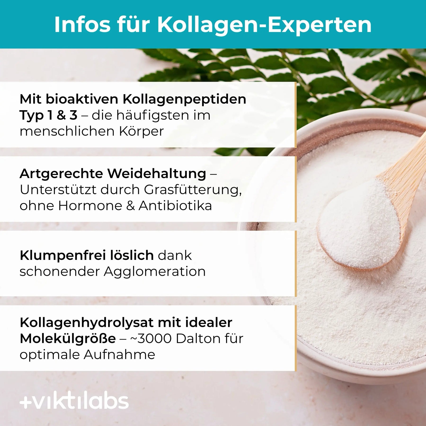 viktilabs-kollagen-infografik-extra-info [lang-de]