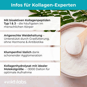 viktilabs-kollagen-infografik-extra-info [lang-de]