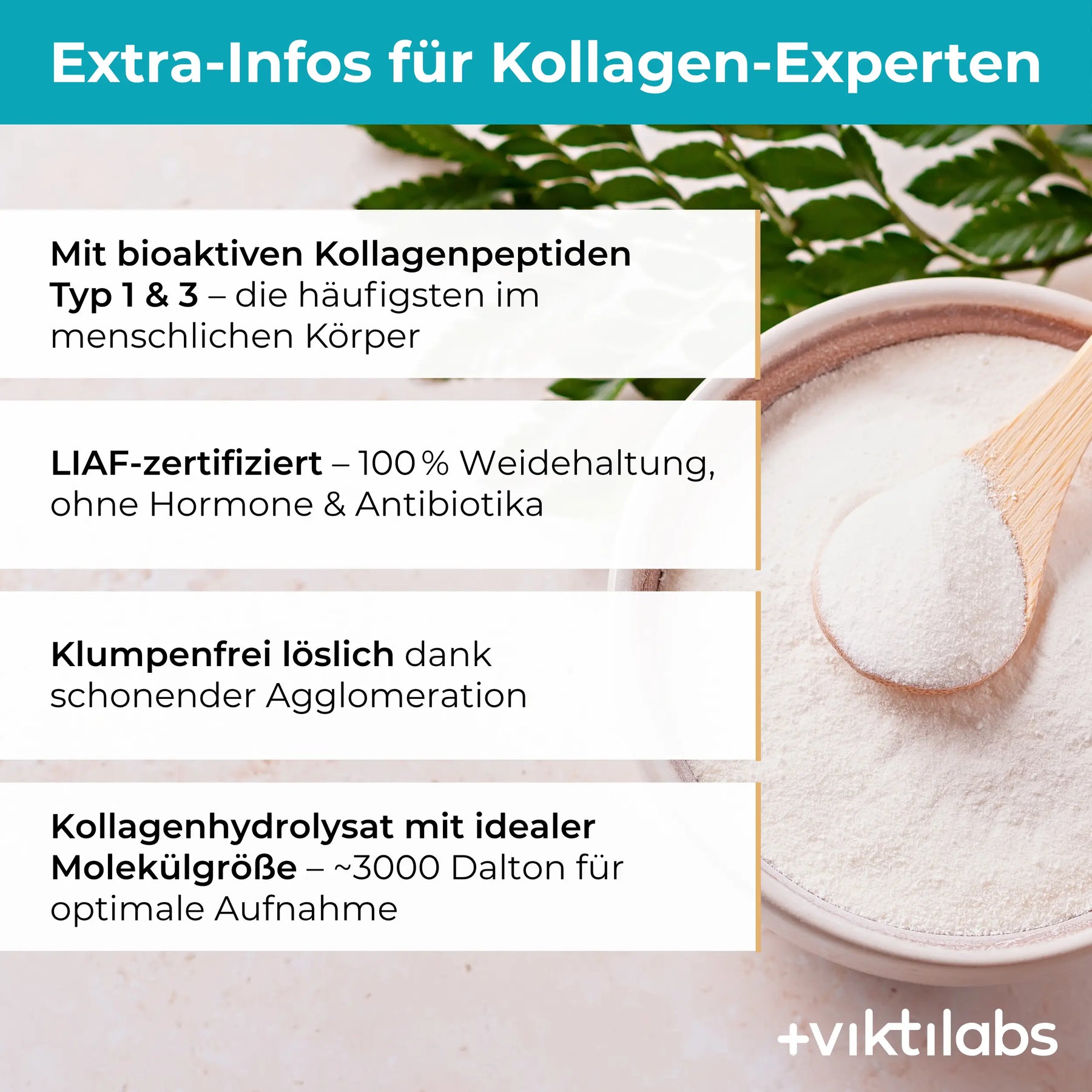 viktilabs-kollagen-infografik-extra-info [lang-de]