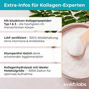 viktilabs-kollagen-infografik-extra-info [lang-de]