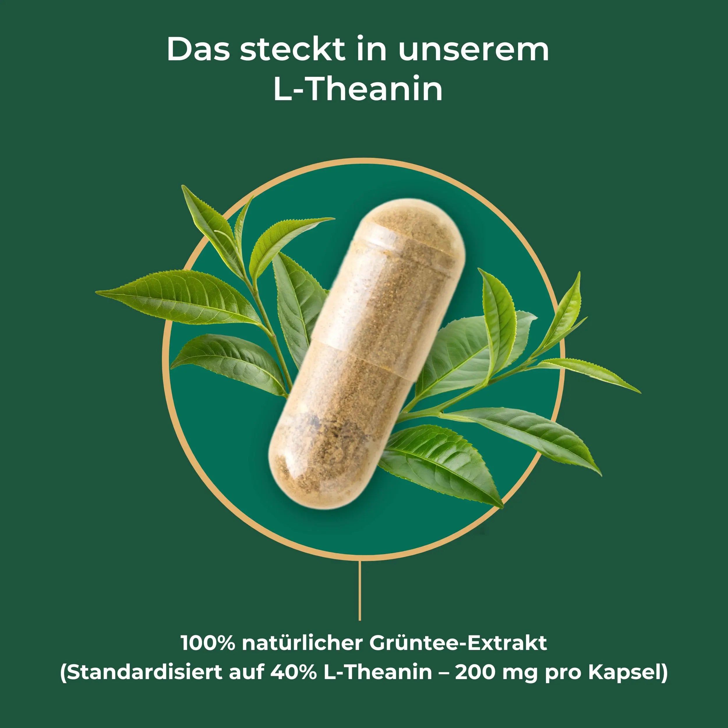 viktilabs-l-teanina-infografía-ingredientes [lang-es]