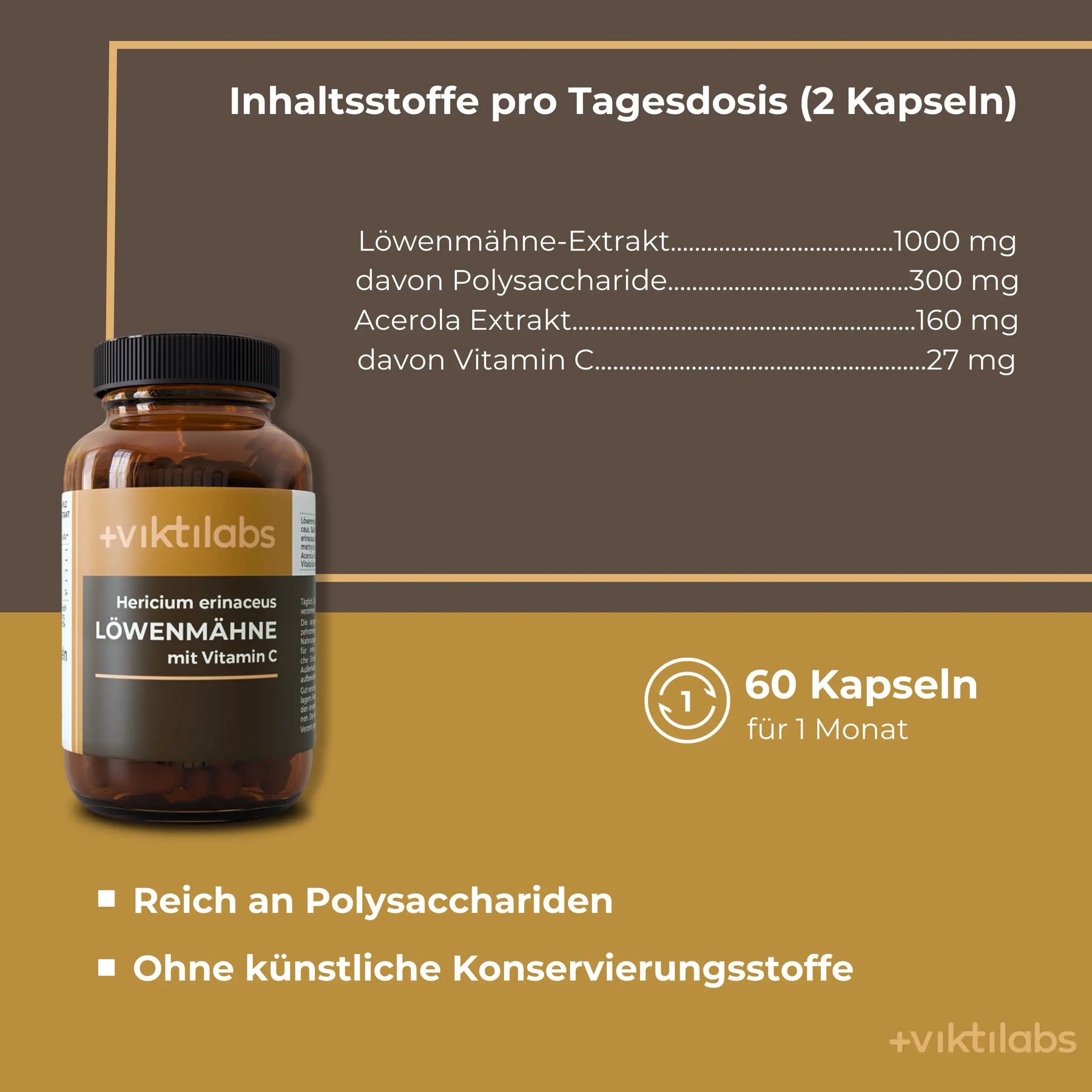 viktilabs-löwenmähne-infografik-inhaltsstoffe-pro-portion [lang-de]