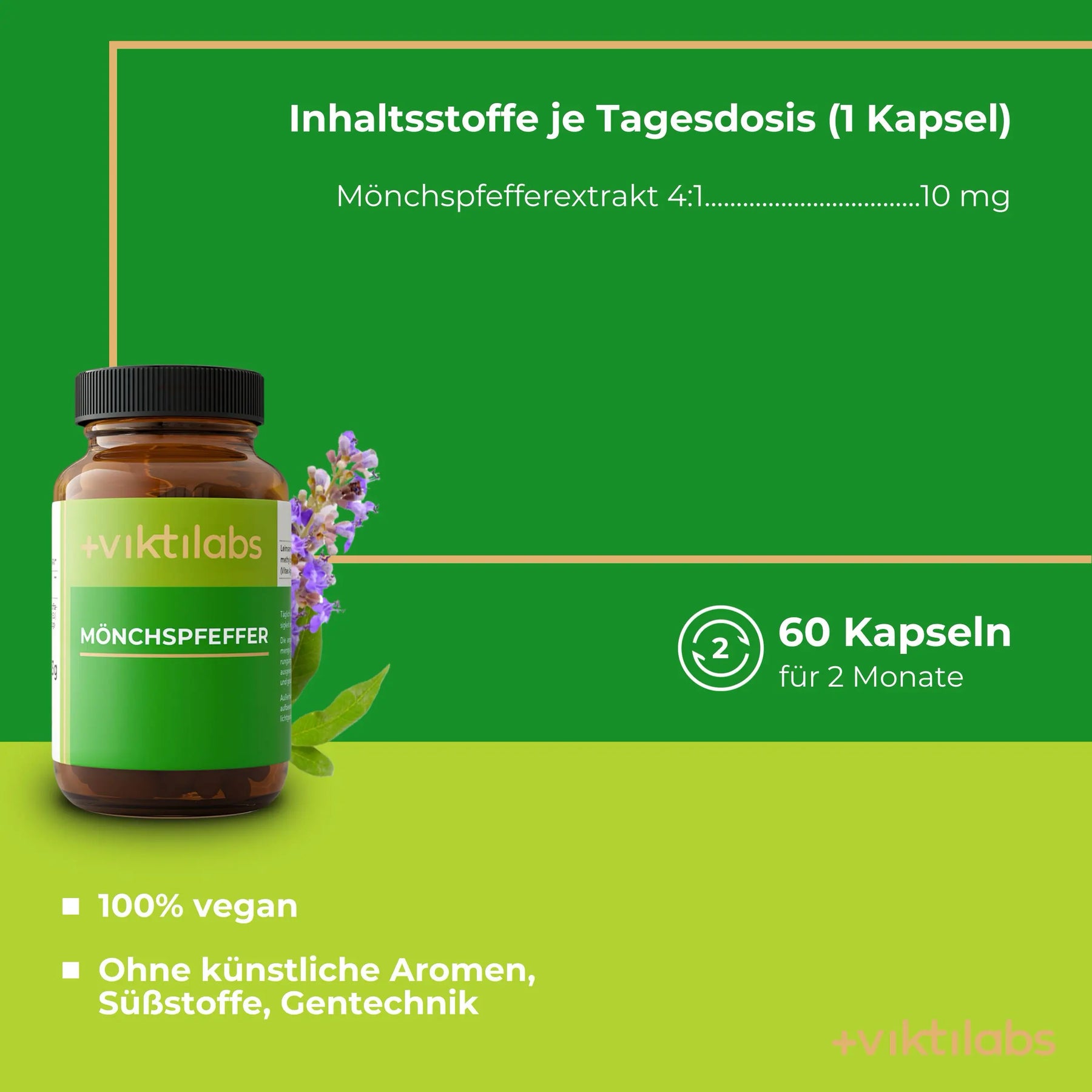 viktilabs-mönchspfeffer-infografik-inhaltsstoffe-pro-10g [lang-de]