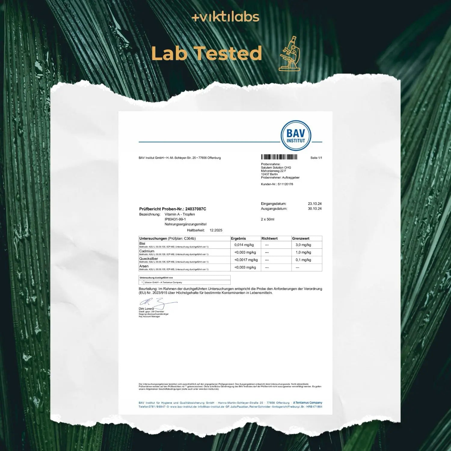viktilabs-vitamin-a-zertifikat-1 [lang-en]