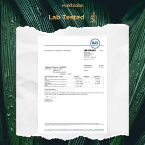 viktilabs-vitamin-a-zertifikat-1 [lang-en]