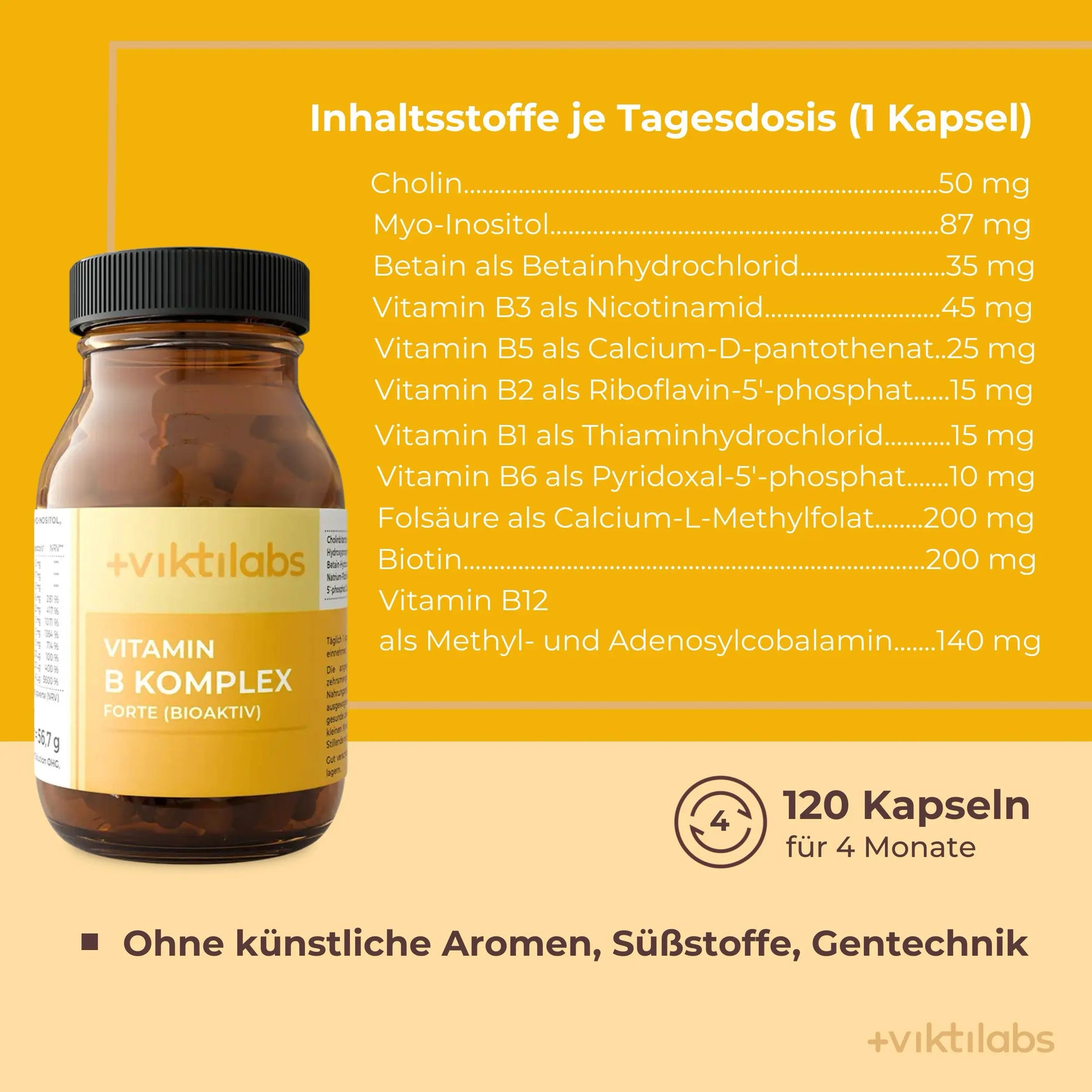 viktilabs-vitamin-b-komplex-forte-infografik-inhaltsstoffe-pro-portion [lang-de]