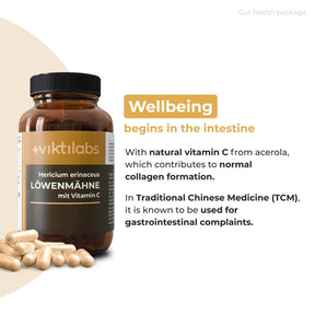 viktilabs-bundle-darmgesundheit-produkt-2 [lang-en]