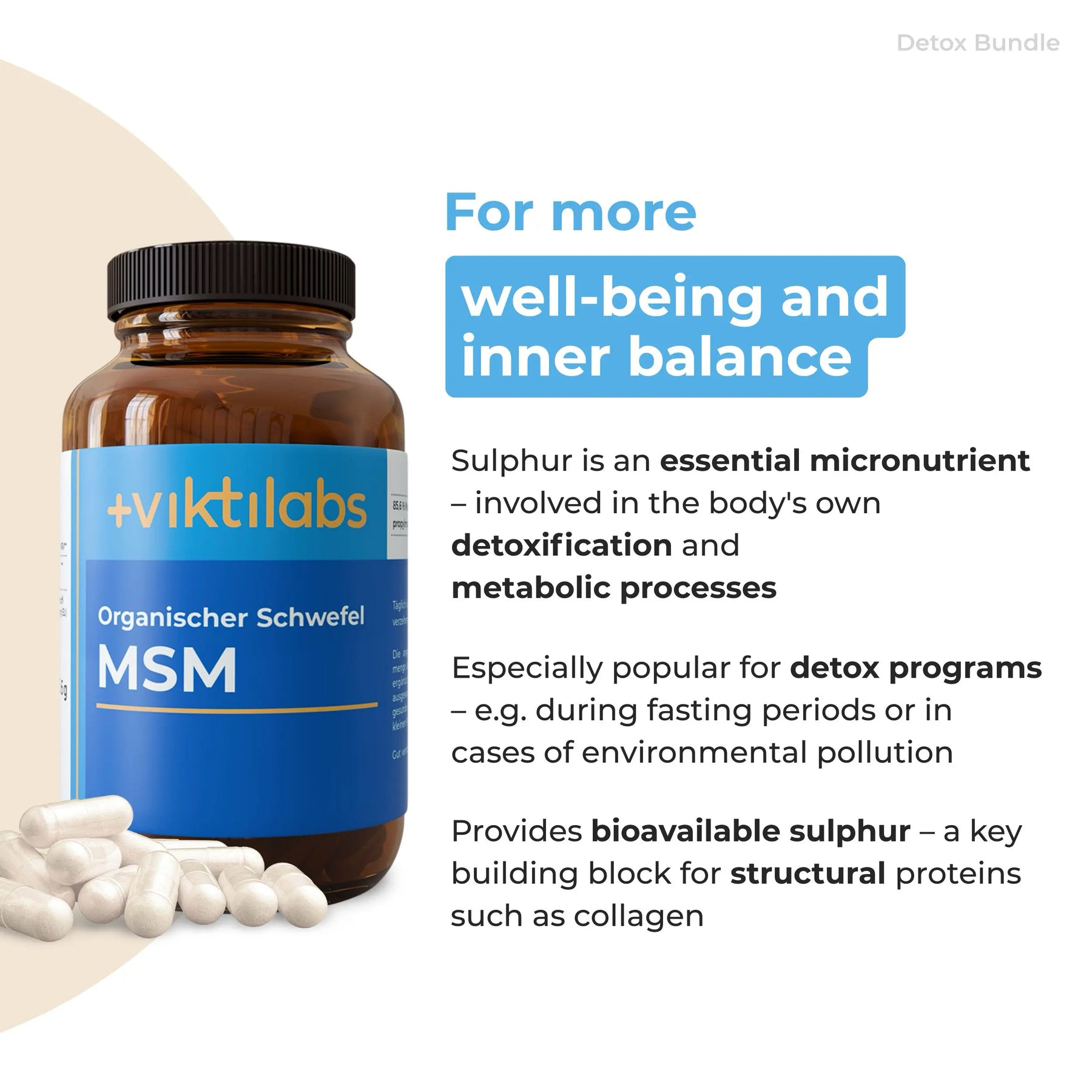 viktilabs-bundle-entgiftungs-paket-produkt-1 [lang-en]