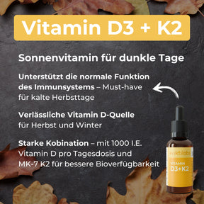viktilabs-bundle-herbst-produkt-4 [lang-de]